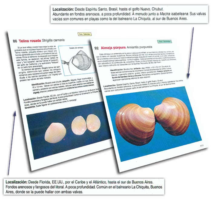 Algunas páginas del libro Cien Caracoles Argentinos