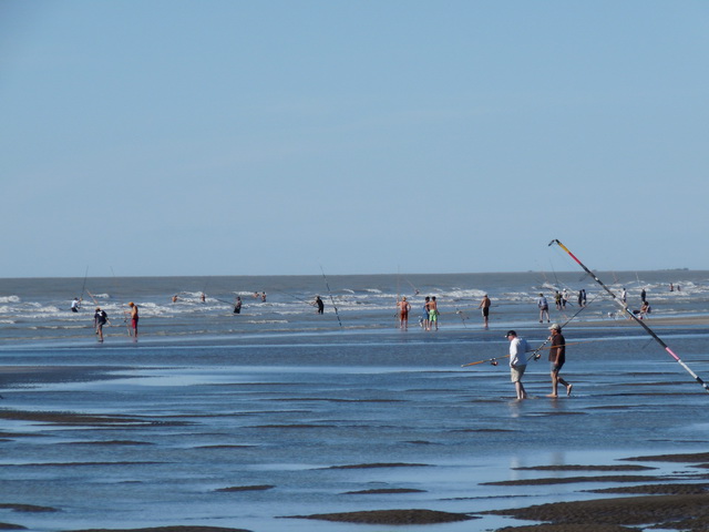 Concurso Pesca | 28.02.2010