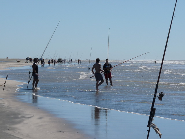 Concurso Pesca | 28.02.2010