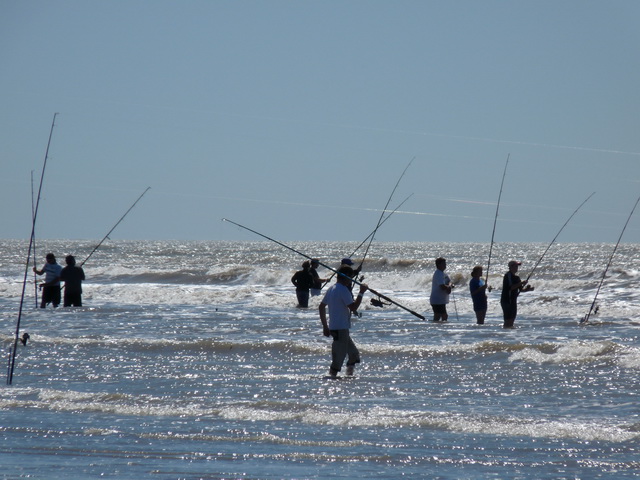 Concurso Pesca | 28.02.2010