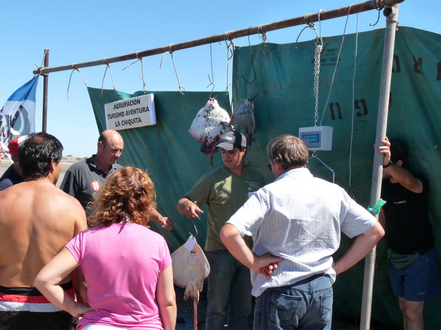 Concurso Pesca | 28.02.2010