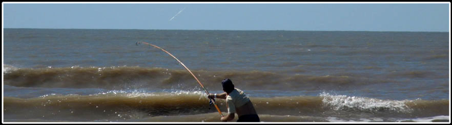 Concurso Pesca | 28.02.2010
