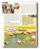 Revista Panorama de Pesca