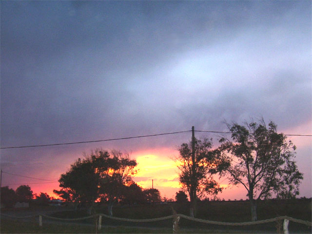 Analía S. [Mayor Buratovich]