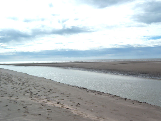 Analía S. [Mayor Buratovich]