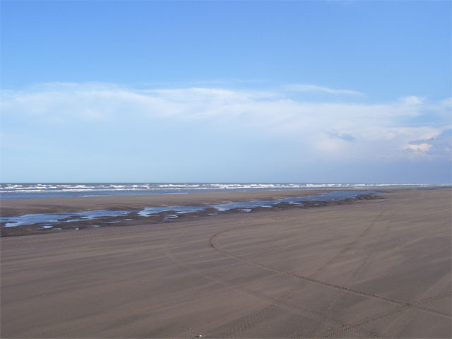 Analía S. [Mayor Buratovich]