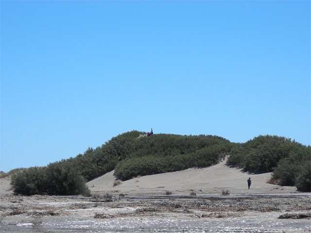 Brenda P. [Mayor Buratovich]