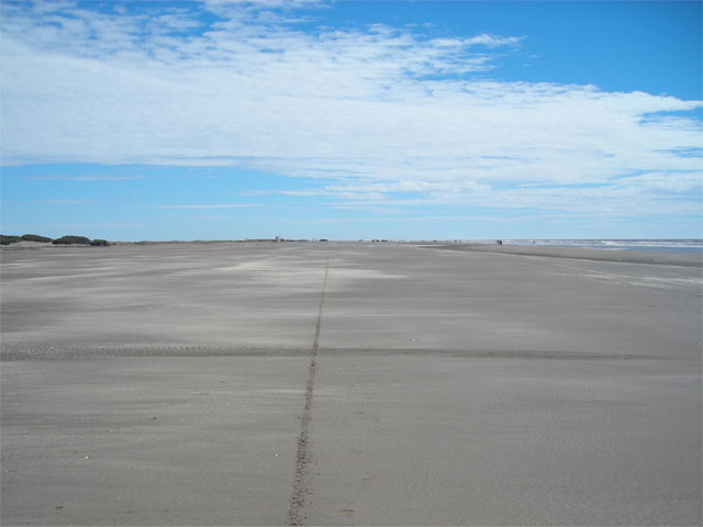 Brenda P. [Mayor Buratovich]