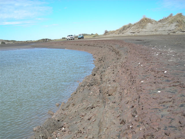 Brenda P. [Mayor Buratovich]